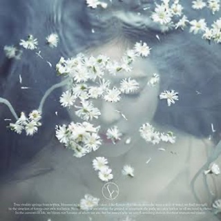 Like a Flower · Irene Like a Flower · Irene
